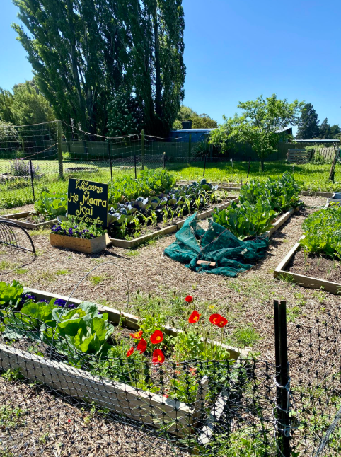 Garden beds at Birchwood Farm